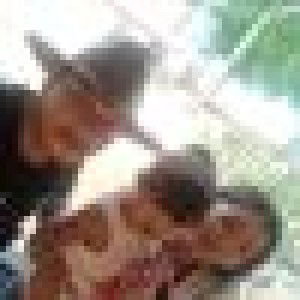 ครอบครัว ตัว ออ profile icon