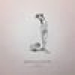 Nicha Nongplai profile icon