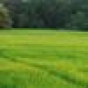 Parichat Witthayakom profile icon