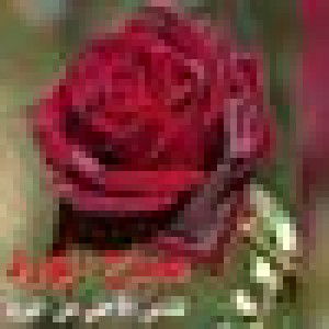 Rosalinda Lanto profile icon