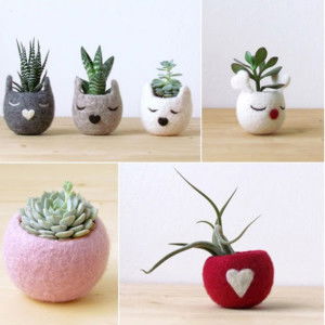 Napaporn Pleecharoenlarp profile icon