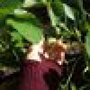 Rita Rahayu profile icon