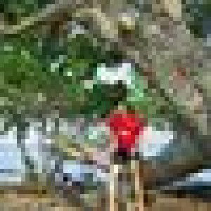 ไร้สาระ น๊ะ profile icon