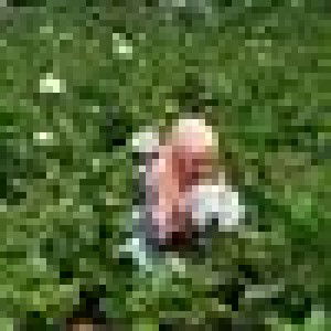 Triand Riand profile icon