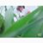 มิ้น' ฟลูออรีน profile icon