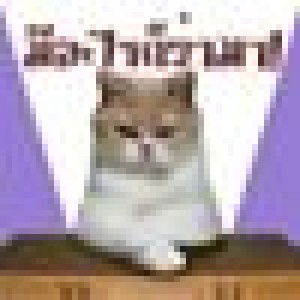 คนดี ที่เทดไม่รัก profile icon