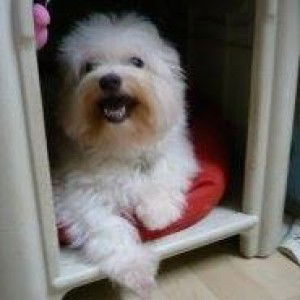 Michelle Teo profile icon