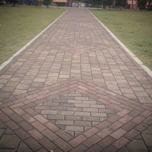 Rokas Lastri profile icon