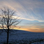 Ija Asniza profile icon