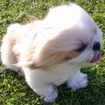 Tan Teck Leng profile icon