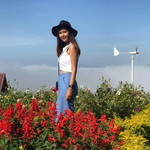 บลู เทอเรีย profile icon