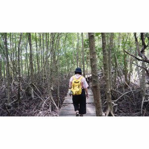 กระเพราไก่ ใส่แมวทอด profile icon