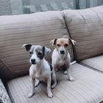 Chalita Charoenphalphana profile icon