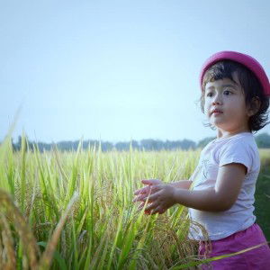 Ade Harahap profile icon