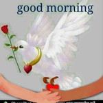 Nitya Woranam profile icon