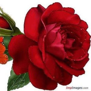 Lalang Razalo profile icon