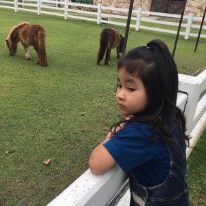 ข้าวโอ๊ต  คุณแม่ เอวา profile icon