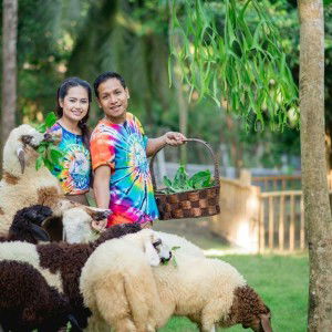 Bird Supamontar Lavananon profile icon