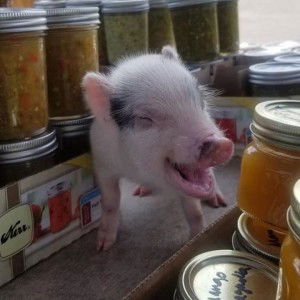 Way's Wilasinee profile icon