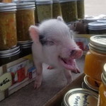 Way's Wilasinee profile icon