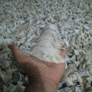 Shireen Azaria Leader profile icon