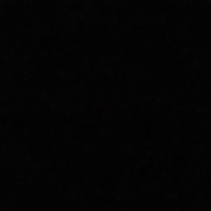 Wan Wirawan profile icon