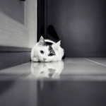 Yulia Nuriyanti profile icon