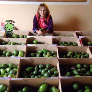 หญิง อาโวกาโด profile icon