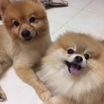 เหลี๊ยด กะจิ้ดริ้ด profile icon