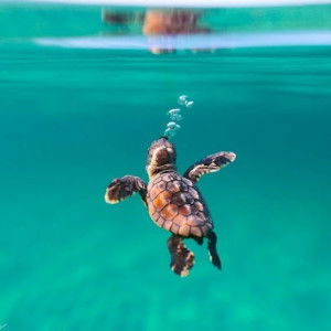 Ayu Rizka FB profile icon