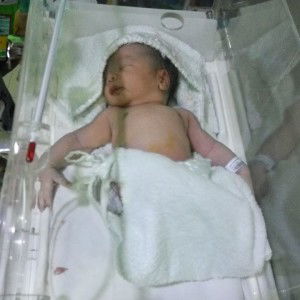 Sofa Fauziyah profile icon