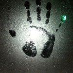 fara profile icon