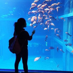 Sireethon Sirirat profile icon