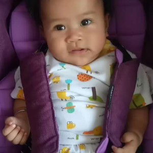 Fissia Octamiandra profile icon