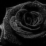 Ratchada Arworn profile icon