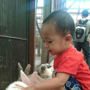 Dewani Nugrahendrie profile icon