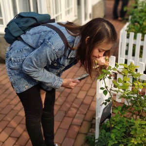 Som Sasikarn profile icon