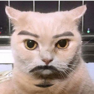 แก้วมุกดา พวงจำปา profile icon