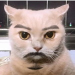 แก้วมุกดา พวงจำปา profile icon
