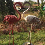 Pick Za profile icon