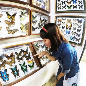 ก. แก้ม profile icon