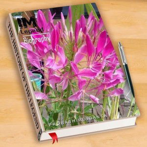 Nafis Afidah profile icon