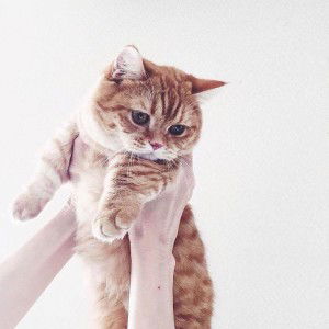 Asmida Razak profile icon