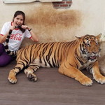 wanlaya triwiset profile icon