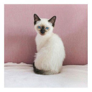 Ratih Hartini profile icon