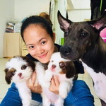 พิมพ์ เชอภิลัยรัตน์ profile icon
