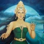 Vidhy Yani profile icon