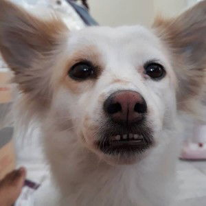 Aum Wararat Biadnok profile icon