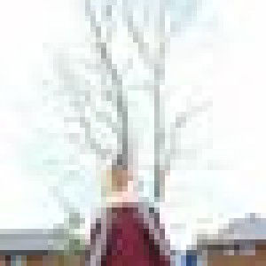 Aci Wahyuni Ayu profile icon