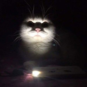 Fhon Kunlanit profile icon